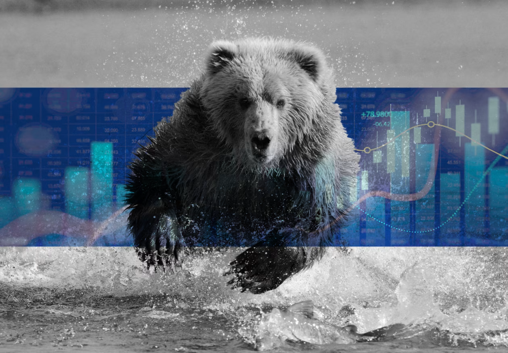 Trading for beginners